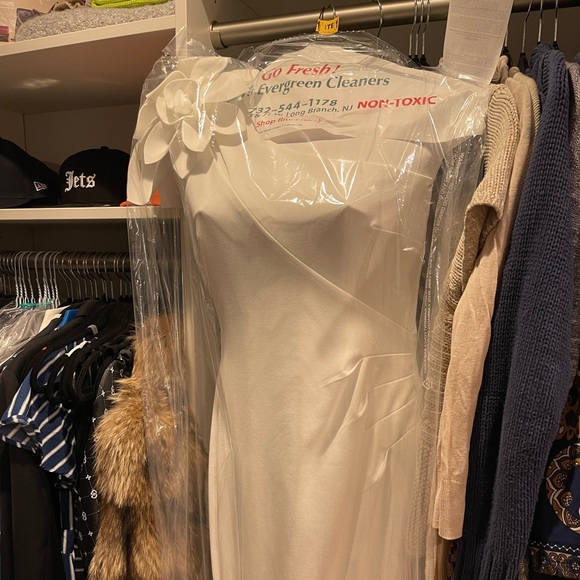 Absolutely Stunning Gown! - Picture 4 of 6